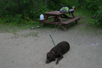 Sasha relaxing at our campsite (IMG_9796.JPG)