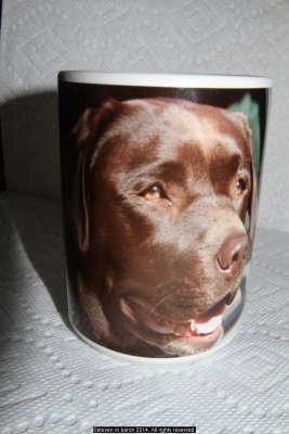 sasha's mug on my mug (IMG_5667.jpg)