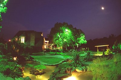 IMG0020.jpg