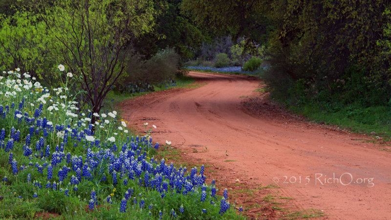 Road To More Bluebonnets-HD720