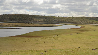 Rio Grande, Tierra del Fuego, Patagonia, Chile