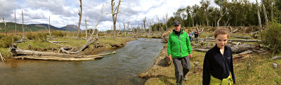 Tierra del Fuego, Patagonia, Chile