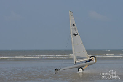 Krab-2015087.jpg