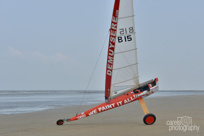 Krab-2015137.jpg