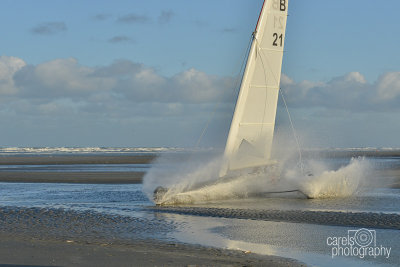 Sycod-2015024.jpg