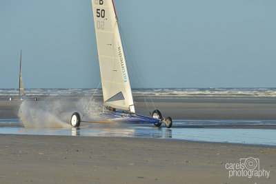 Sycod-2015053.jpg