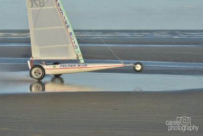 Sycod-2015060.jpg