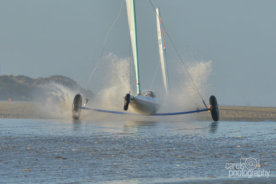 Sycod-2015073.jpg
