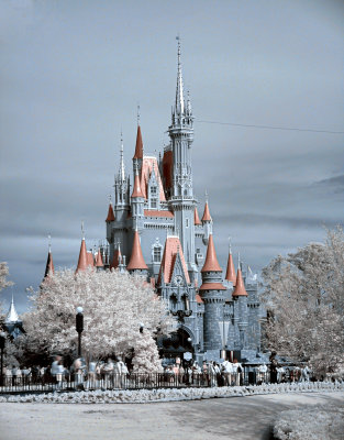Walt Disney World Infrared