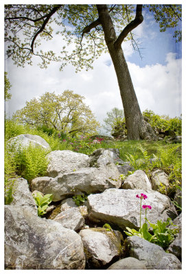 Innisfree Gardens May '13