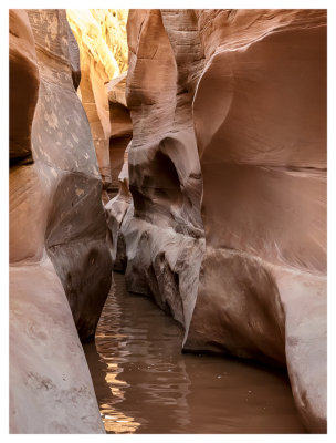 Long Canyon First Wet Narrows