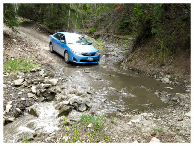 Bull Creek Crossing