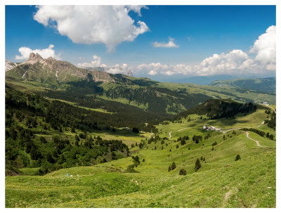 Alpe di Suisi