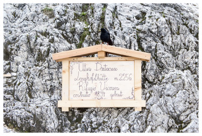 Welcome to Rifugio Vicenza