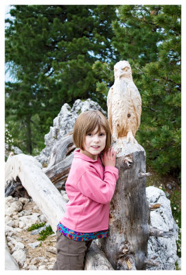 Hawk carving