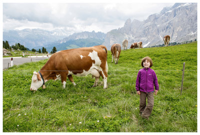 Moooo
