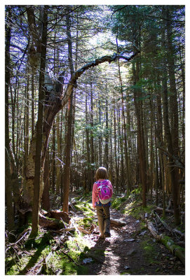 On the trail between Table and Peekamoose