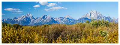 Fall time in the Tetons