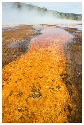 Orange arm of the Grand Prismatic