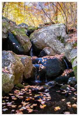 Autumn pool