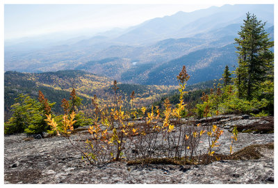 I'll take fall color where I can get it