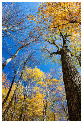Last look at fall