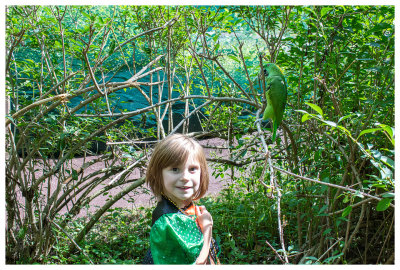 Norah with a parrot at the Ren Faire