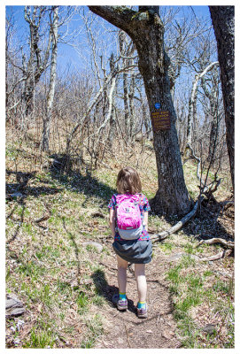 Norah at 3500 feet - getting close to the summit