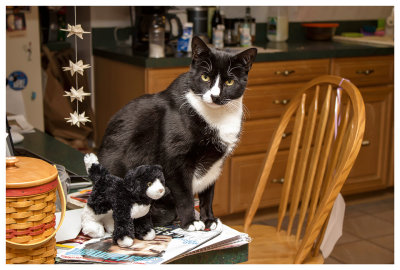 Linus and his mini me