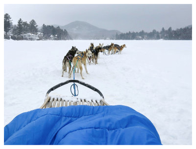 Lake Placid dog sled ride