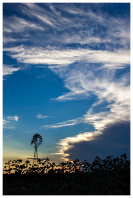 Beautiful evening on the prairie