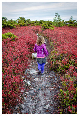 Sam's Point Preserve hike