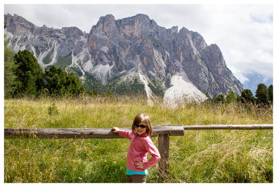 Mountain meadow