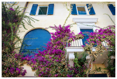 Pretty flowers and building