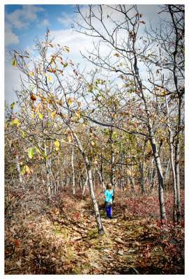 Schunemunk hike