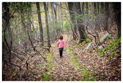 Bull Hill - Breakneck - Mt Beacon hike