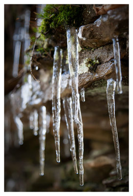 Icicles