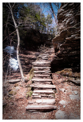 Trail steps
