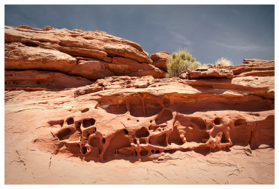 Grand View Point trail