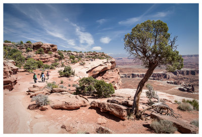 Grand View Point trail