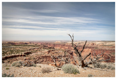Aztec Butte hike