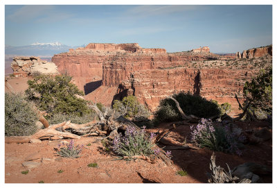 Canyonlands National Park: Island in the Sky