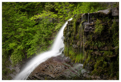 Lucifer Falls moss