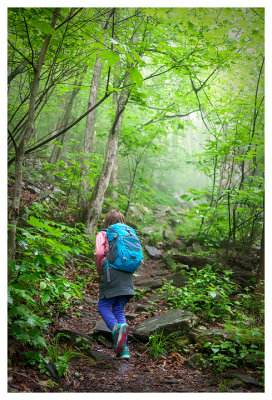 Walking in the clouds