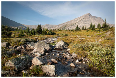 Stream in the meadow