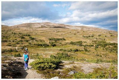 Hike through open meadows