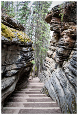 Stairway at Athabasca Falls