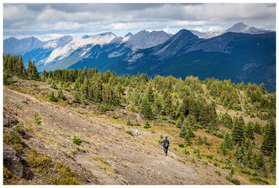 Descending Bald Hills
