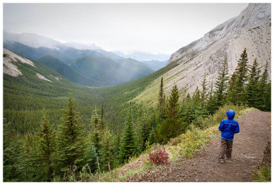 Snow moves through the Sulphur Skyline trail