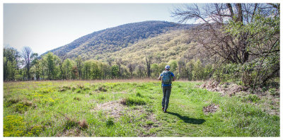 Steve heading to Storm King